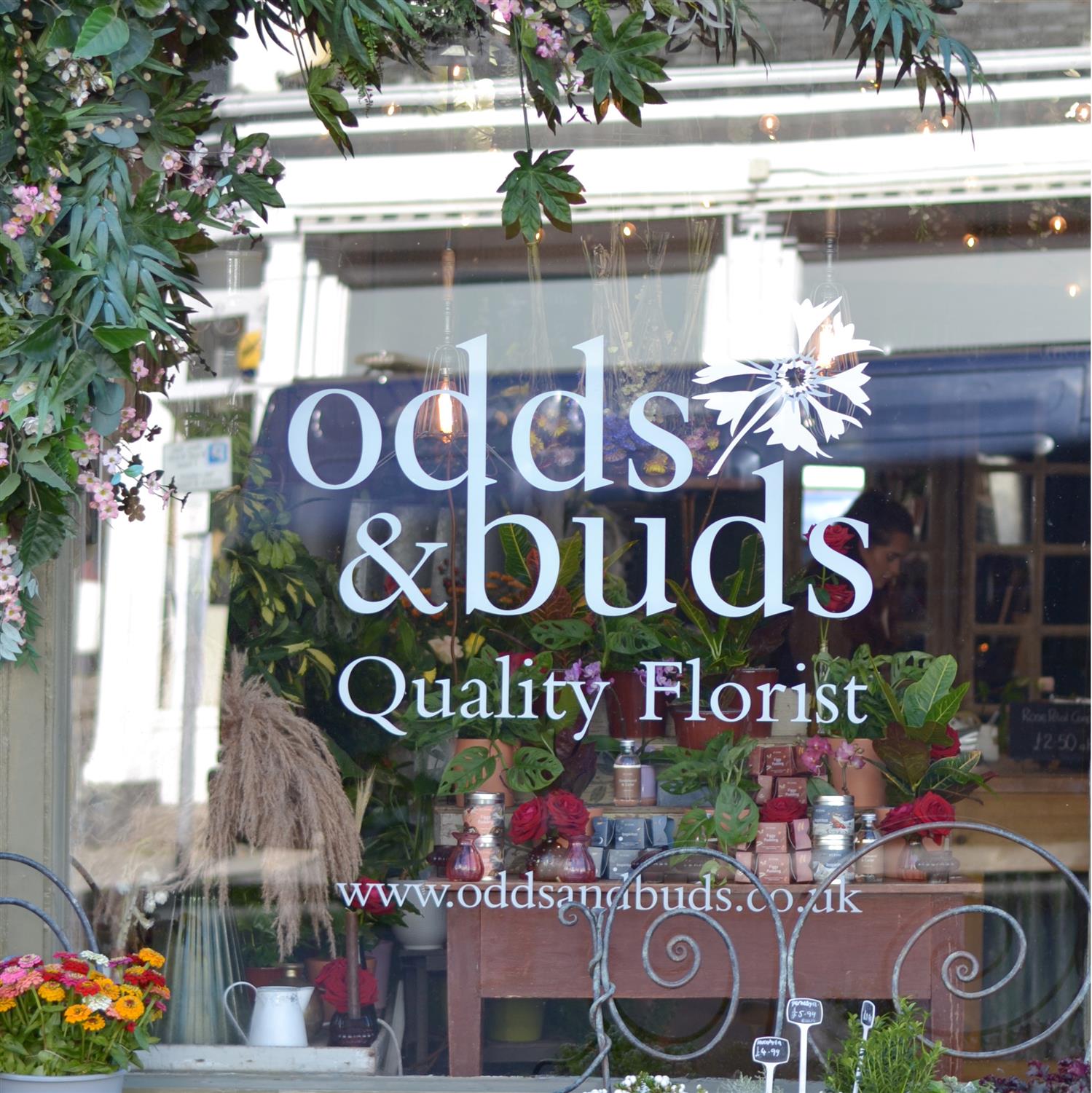 Odds and Buds Florist window